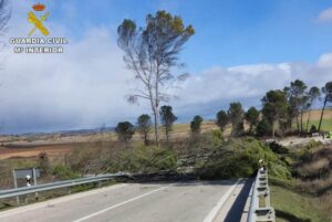 Árbol caído en la N-320