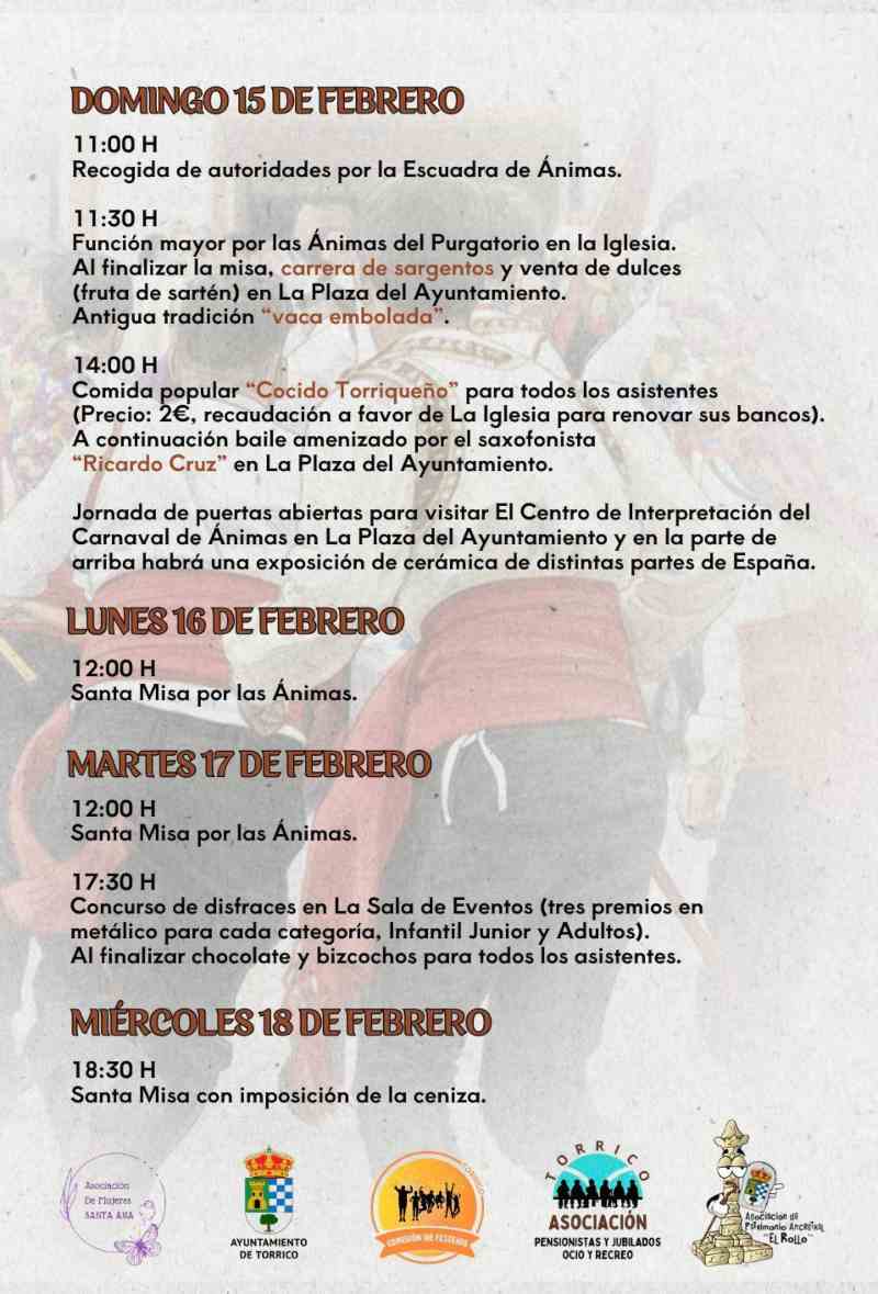 Programación del carnaval de Torrico.