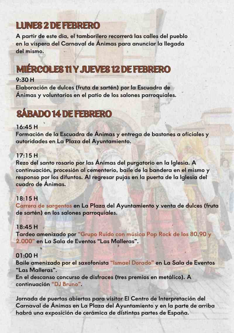 Programación del carnaval de Torrico.