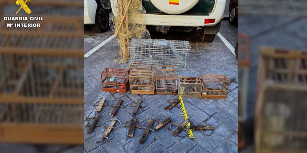 Métodos de captura no selectiva hallados por el Seprona tras investigar a una persona por la captura ilegal de jilgueros. Foto: Guardia Civil Toledo