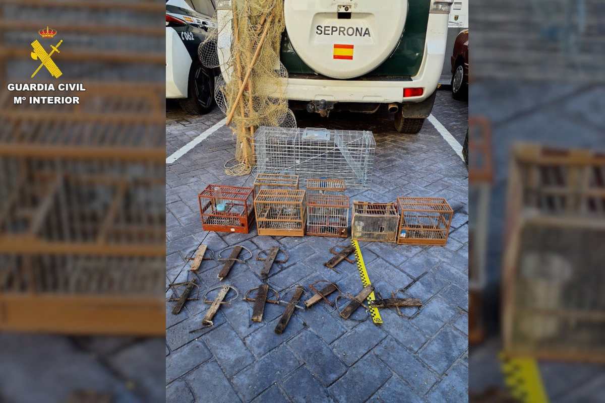 Métodos de captura no selectiva hallados por el Seprona tras investigar a una persona por la captura ilegal de jilgueros. Foto: Guardia Civil Toledo
