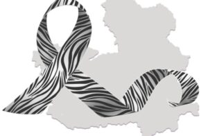 28 de febrero, Día Mundial de las Enfermedades Raras.