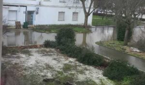 ies-san-isidro-talavera