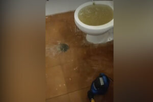 Imagen de una de las viviendas afectadas en Talavera.