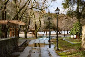 Senda ecológica del Tajo.