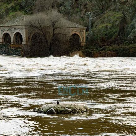 Tajo en Toledo.