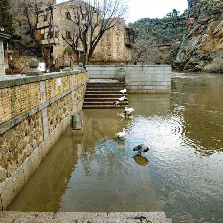 Tajo en Toledo.