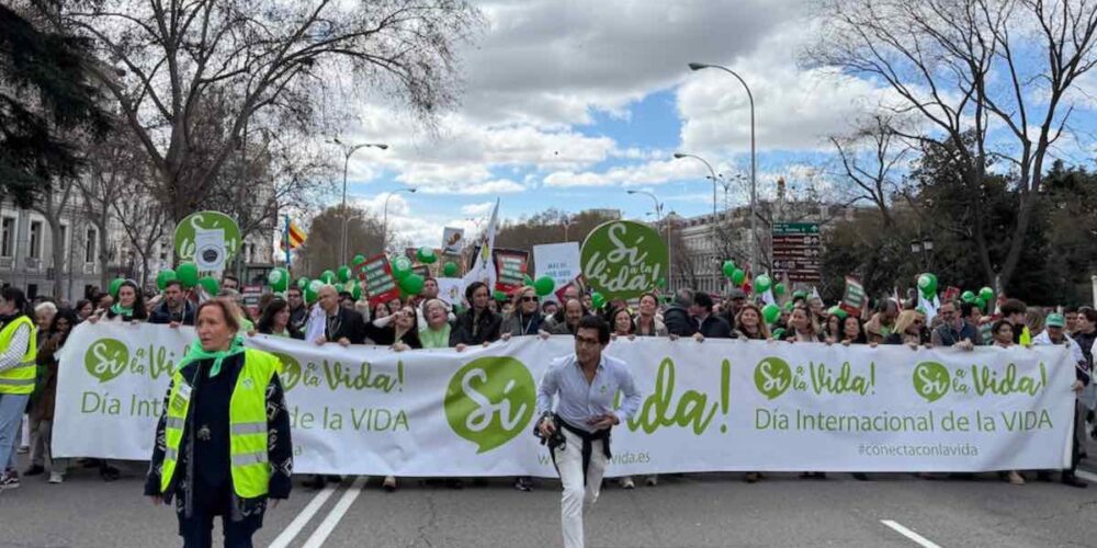 Foto de la marcha Sí a la vida de 2025. Foto: Colectivo '40 días por la vida'