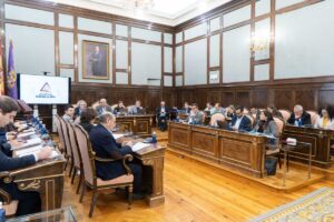 Pleno Diputación Guadalajara