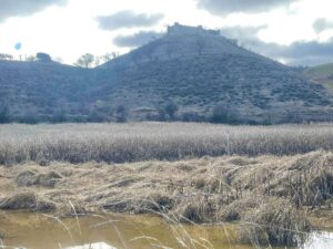 rastrojeras de Guadalajara