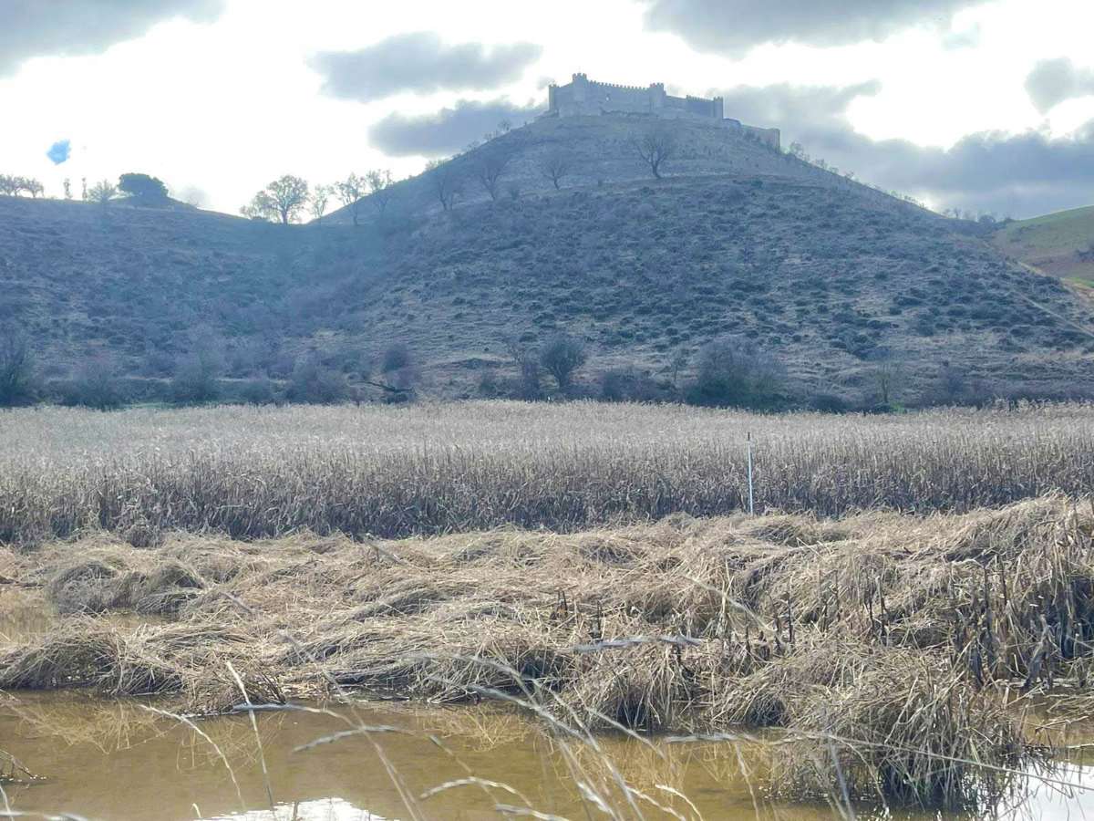 rastrojeras de Guadalajara