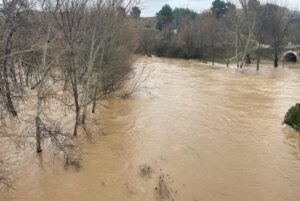 Río Henares en Guadalajara