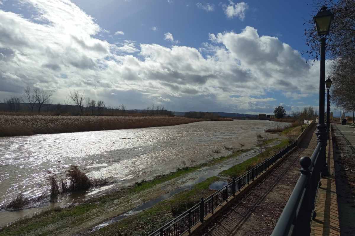 Río Tajo en Talavera de la Reina este jueves. Foto: ENCLM