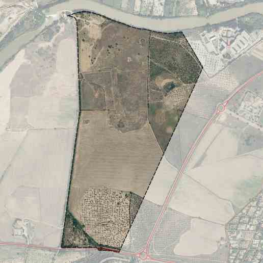 Sector 4-San Bernardo-La Legua: 2.000 viviendas