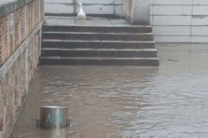 Imagen del Tajo en la zona del Barco de Pasaje en Toledo el 8 de febrero de 2026