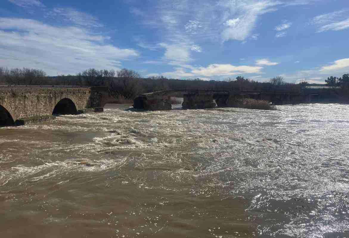 Así circulaba el Tajo por Talavera, muy alto, sobre las 13 horas del domingo.