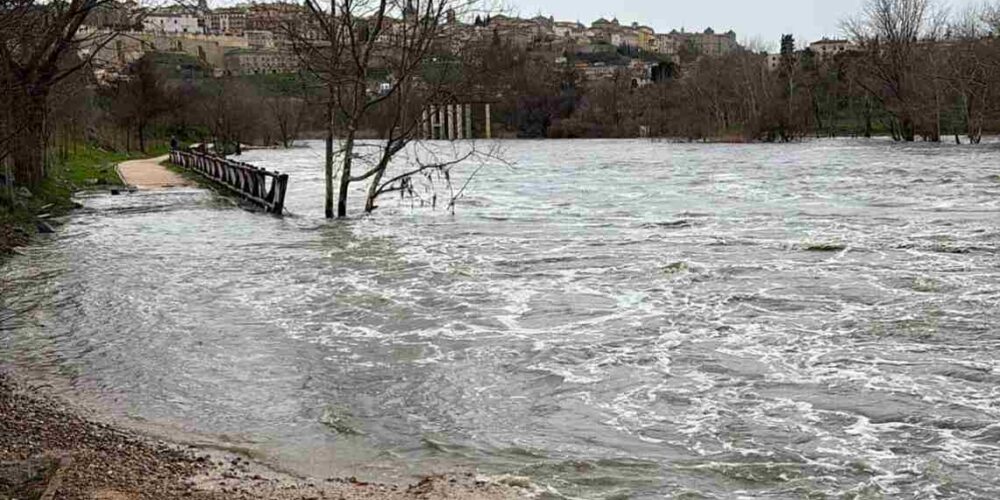 El Tajo, desbordando la senda ecológica.
