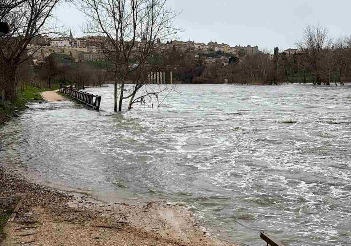El Tajo, desbordando la senda ecológica.