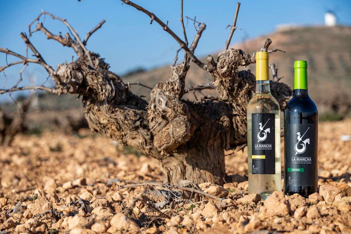 vinos DO La Mancha