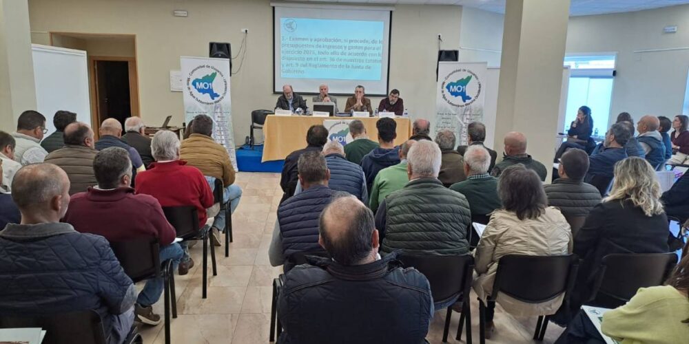 Asamblea CUAS Mancha Occidental I