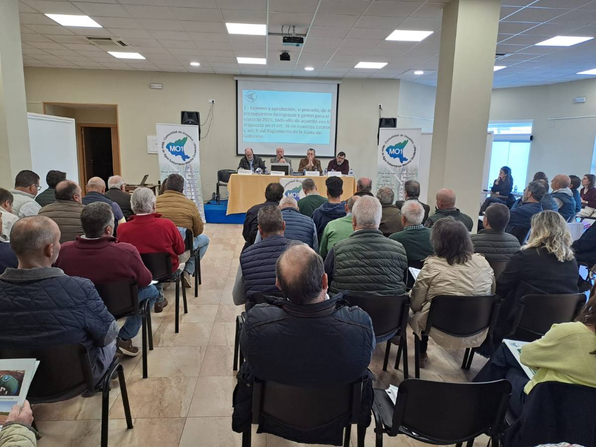 Asamblea CUAS Mancha Occidental I