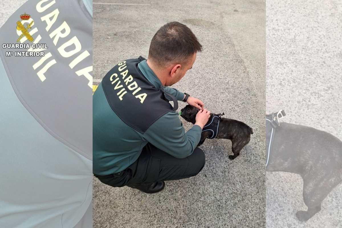 Agente de la Guardia Civil con un cachorro de perro.