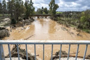 Maleza en río