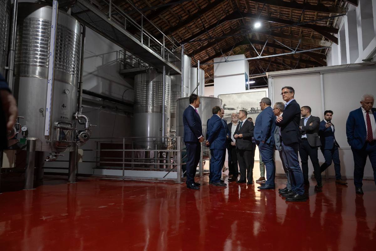 Page en cooperativa Montealegre del Castillo