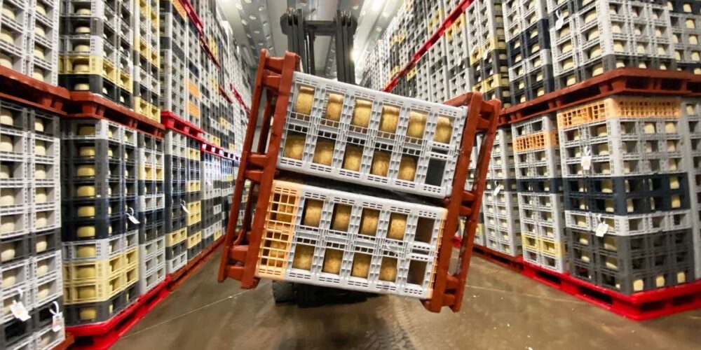 Un operario voltea un palé quesos en el secadero de la fábrica Don Apolonio en Malagón