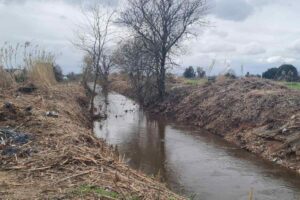 El arroyo de La Portiña. Foto: PSOE Talavera