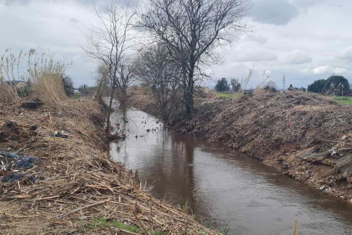 El arroyo de La Portiña. Foto: PSOE Talavera