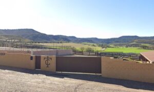 Se ha producido sobre las 14:15 horas desde la finca Campus Taurinos.