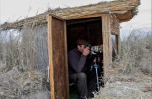 Un hide de observación.