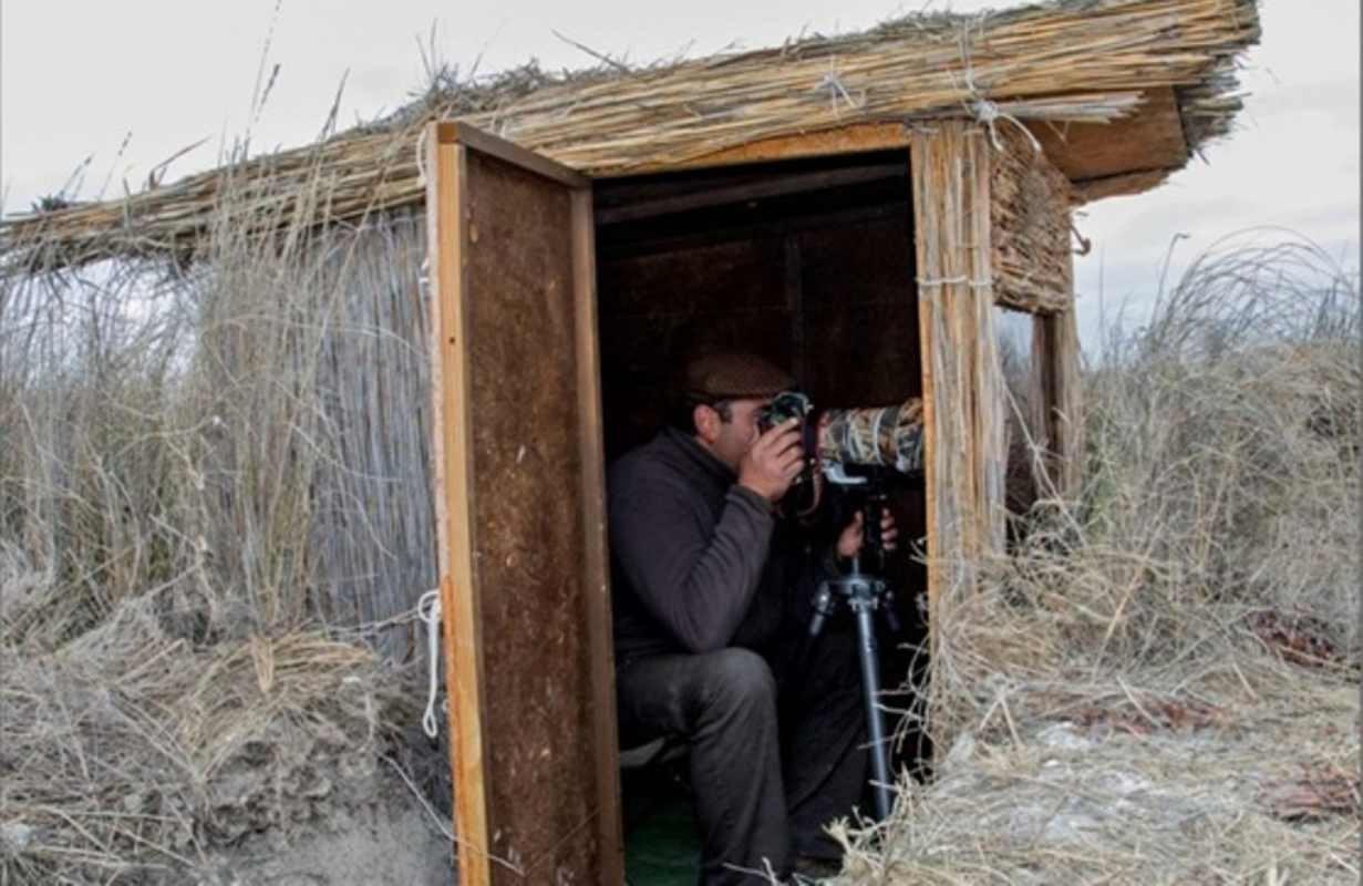 Un hide de observación.