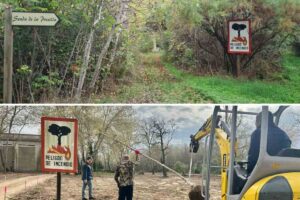 Antes y después de la foto de la isla de los Molinos de Talavera