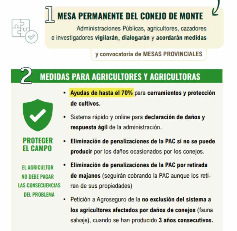 Medidas en Castilla-La Mancha contra la superpoblación de conejos.