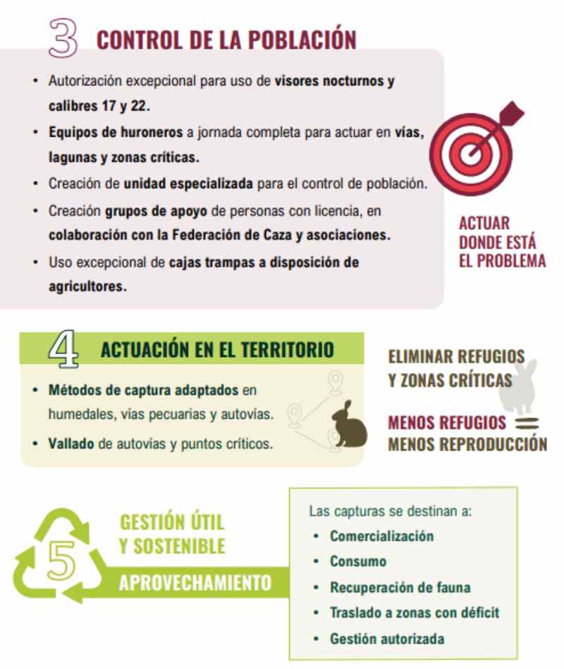 Medidas en Castilla-La Mancha contra la superpoblación de conejos.