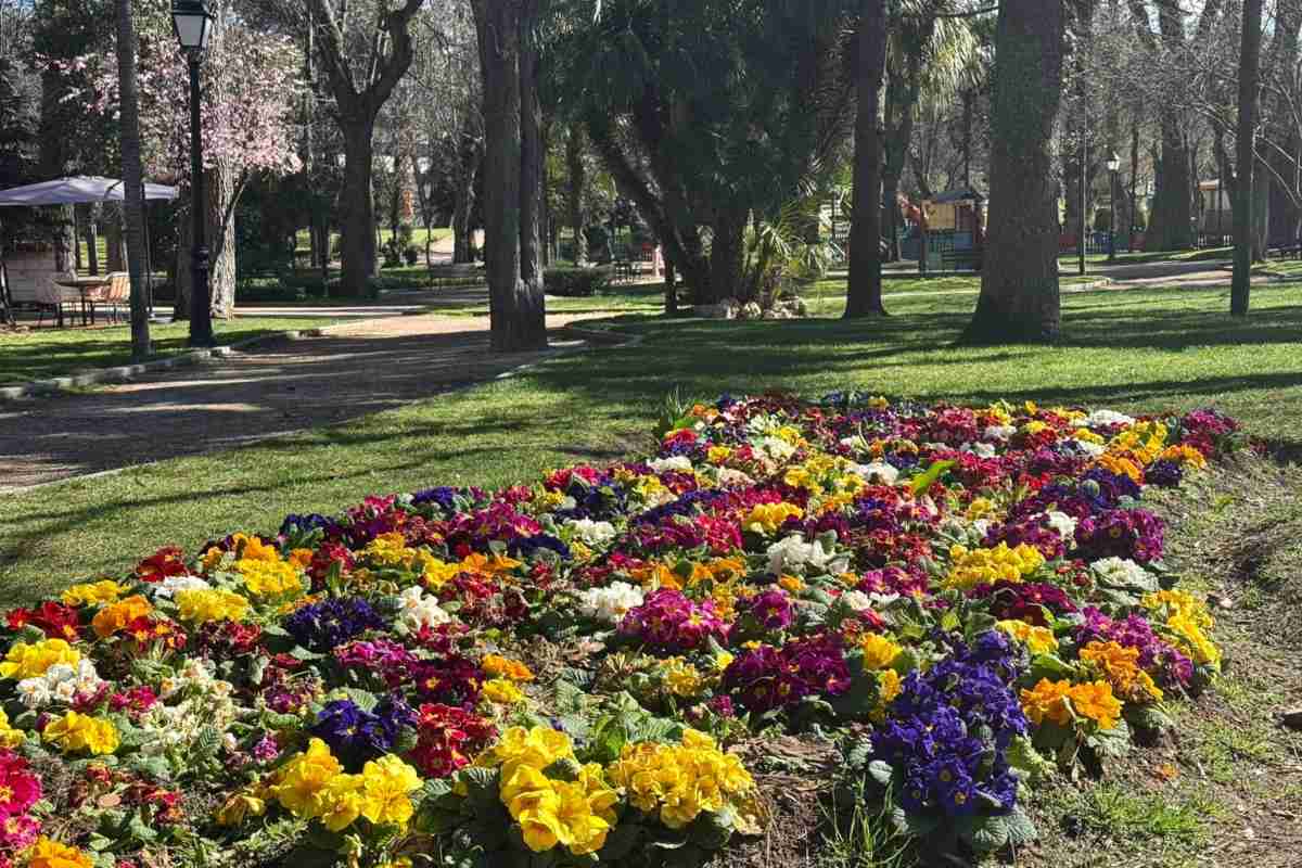 Plantaciones árboles, arbustivas y flores primavera 2026