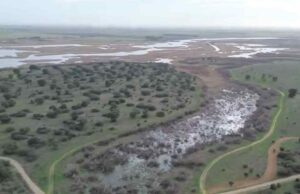 Imagen del Parque Nacional de las Tablas de Daimiel.