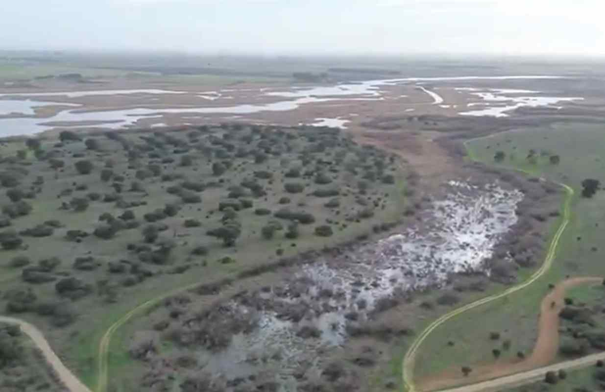 Imagen del Parque Nacional de las Tablas de Daimiel.