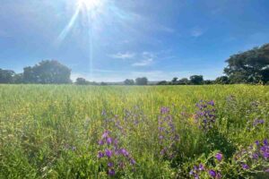 Foto de cielos poco nubosos en Castilla-La Mancha.