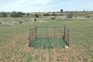 daños de fauna mayor