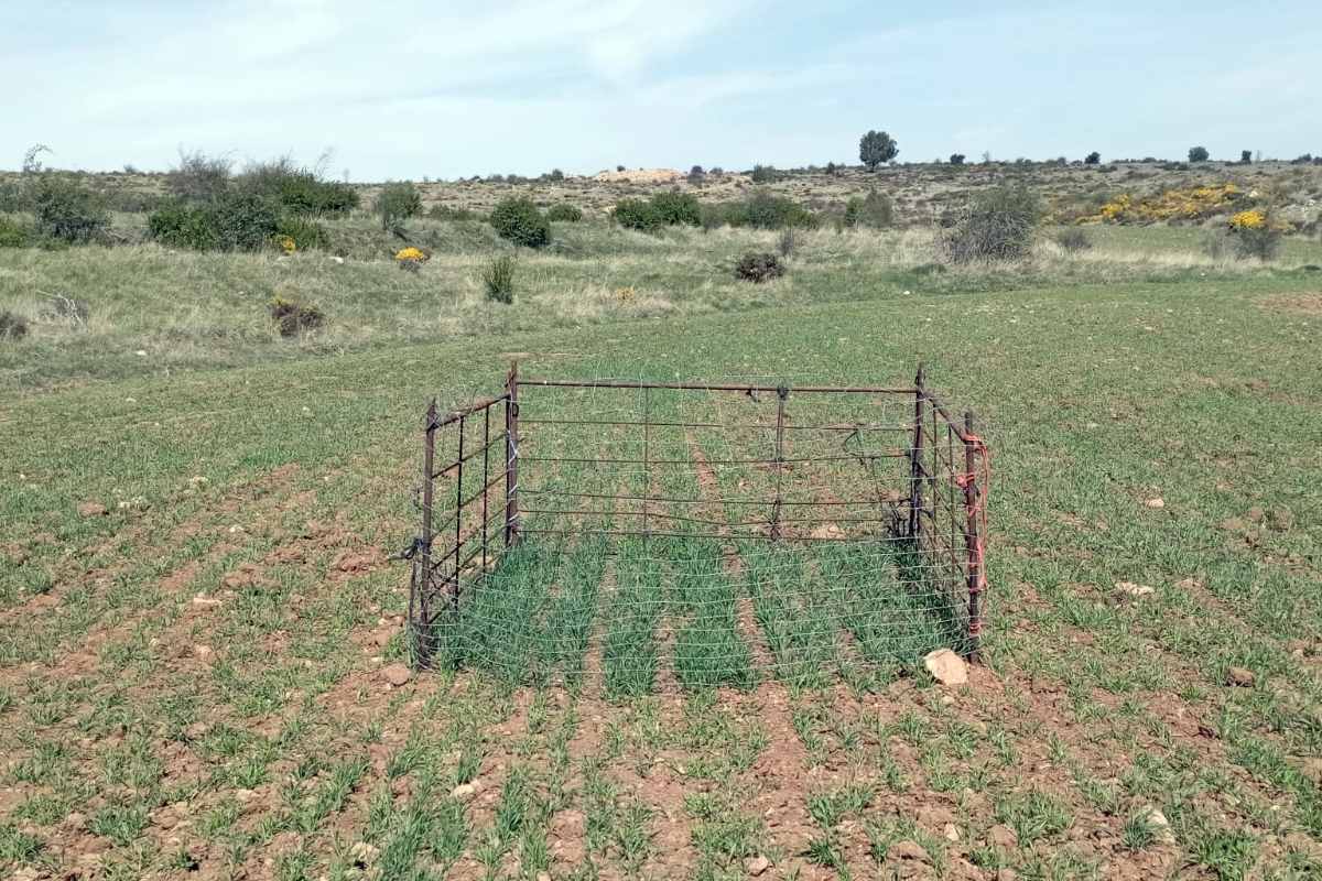 daños de fauna mayor