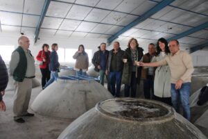 cooperativa de Arenas de San Juan