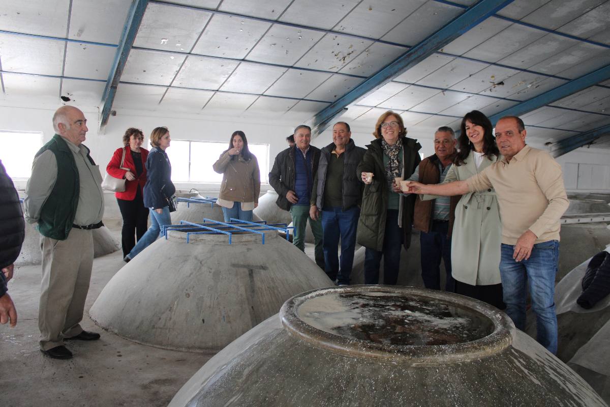 cooperativa de Arenas de San Juan