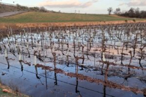 Imagen de enero de 2026 del supuesto vertido que denunció Ecologistas en Acción
