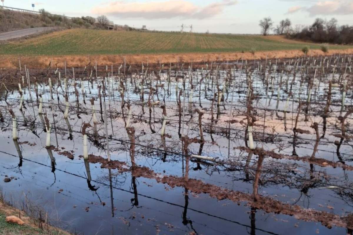 Imagen de enero de 2026 del supuesto vertido que denunció Ecologistas en Acción