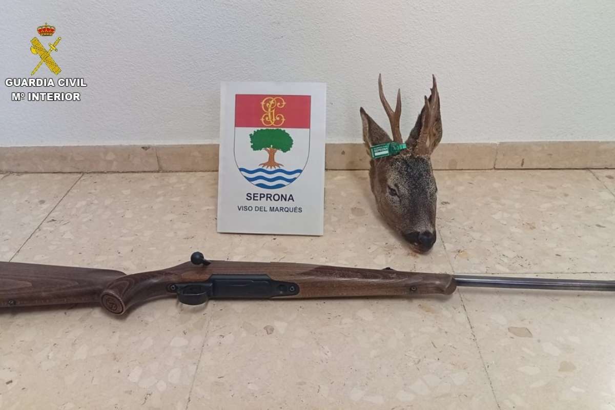 Imagen del corzo abatido y el arma incautada