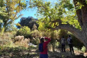 Programa 'Vive tu espacio'.