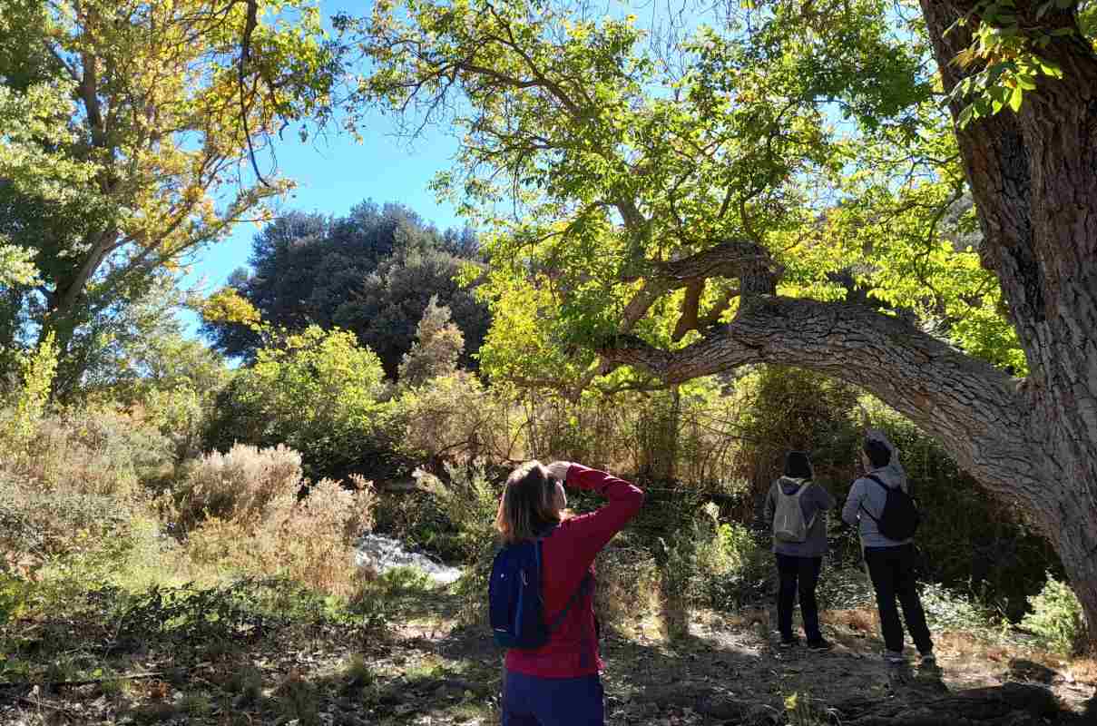 Programa 'Vive tu espacio'.